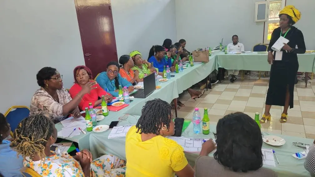 Paniers de repas africains préparés et durables